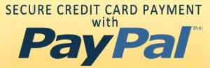 Pay Now w Pay Pal